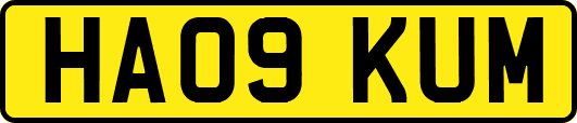 HA09KUM