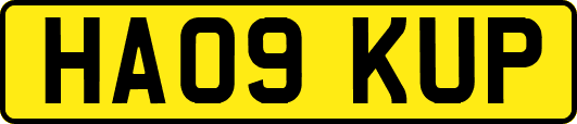 HA09KUP