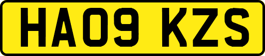 HA09KZS