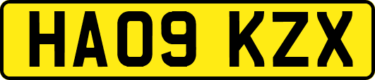 HA09KZX