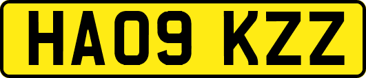 HA09KZZ