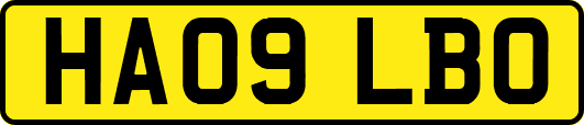 HA09LBO