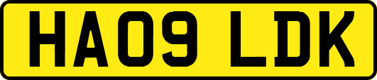 HA09LDK