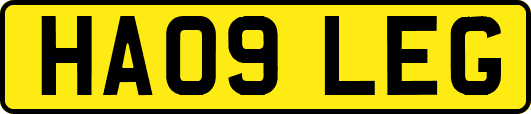 HA09LEG