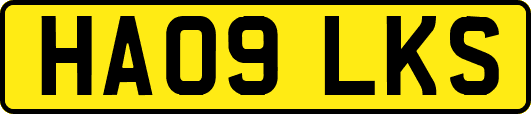 HA09LKS