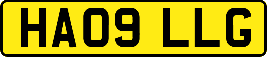 HA09LLG