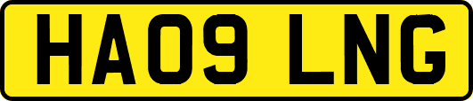 HA09LNG