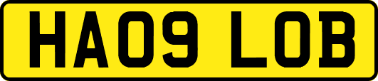 HA09LOB