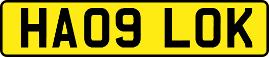 HA09LOK