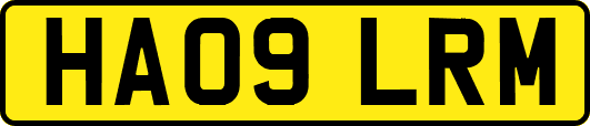 HA09LRM