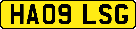HA09LSG
