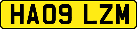 HA09LZM