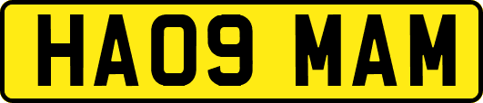 HA09MAM
