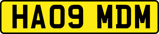HA09MDM