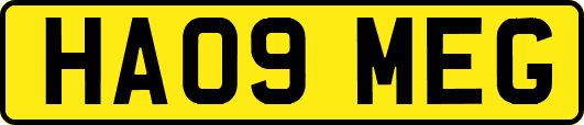 HA09MEG