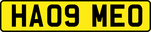 HA09MEO