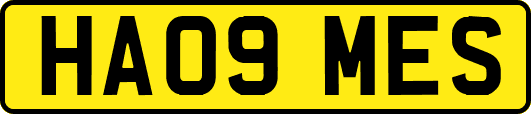 HA09MES