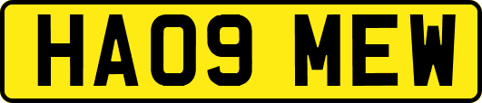 HA09MEW