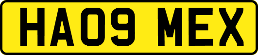 HA09MEX