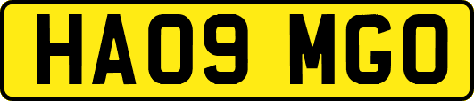 HA09MGO