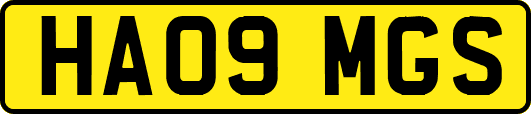 HA09MGS