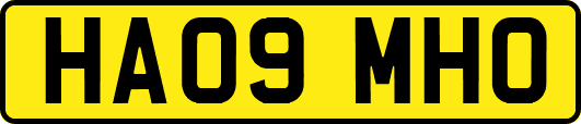 HA09MHO