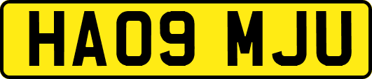 HA09MJU