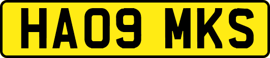 HA09MKS