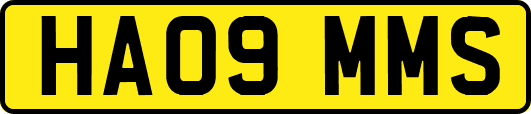 HA09MMS