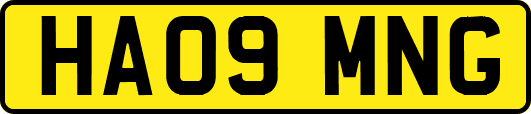 HA09MNG