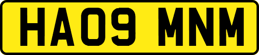 HA09MNM