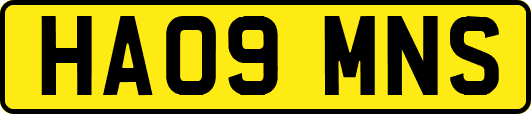 HA09MNS