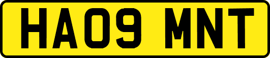 HA09MNT