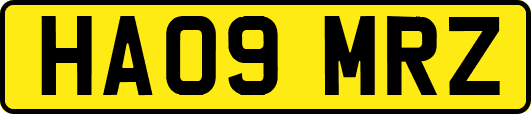 HA09MRZ