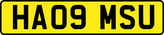 HA09MSU