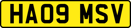 HA09MSV