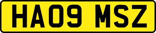 HA09MSZ