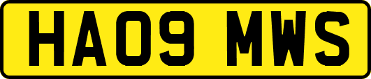 HA09MWS