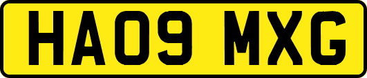 HA09MXG