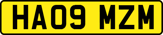 HA09MZM