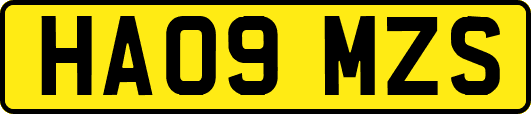 HA09MZS