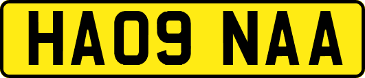 HA09NAA