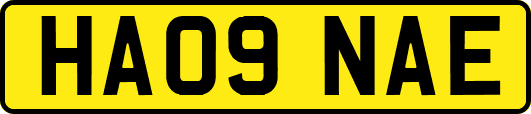 HA09NAE