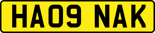 HA09NAK