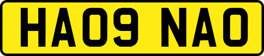 HA09NAO