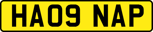 HA09NAP