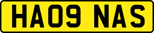 HA09NAS