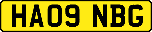 HA09NBG