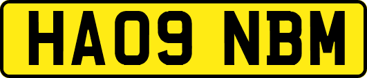 HA09NBM