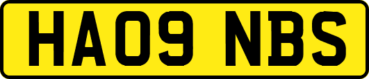 HA09NBS